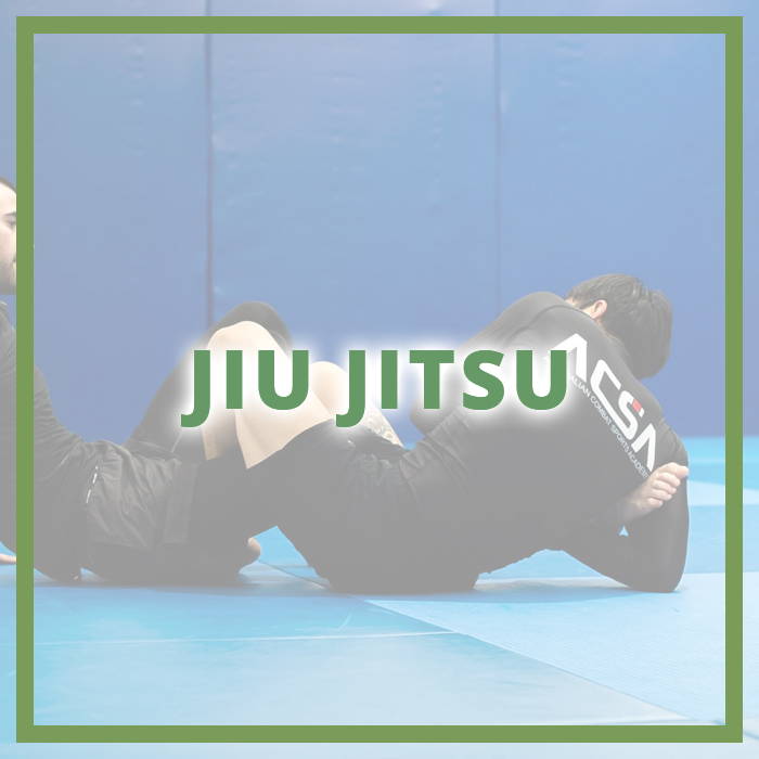 jiu jitsu acsa online classes