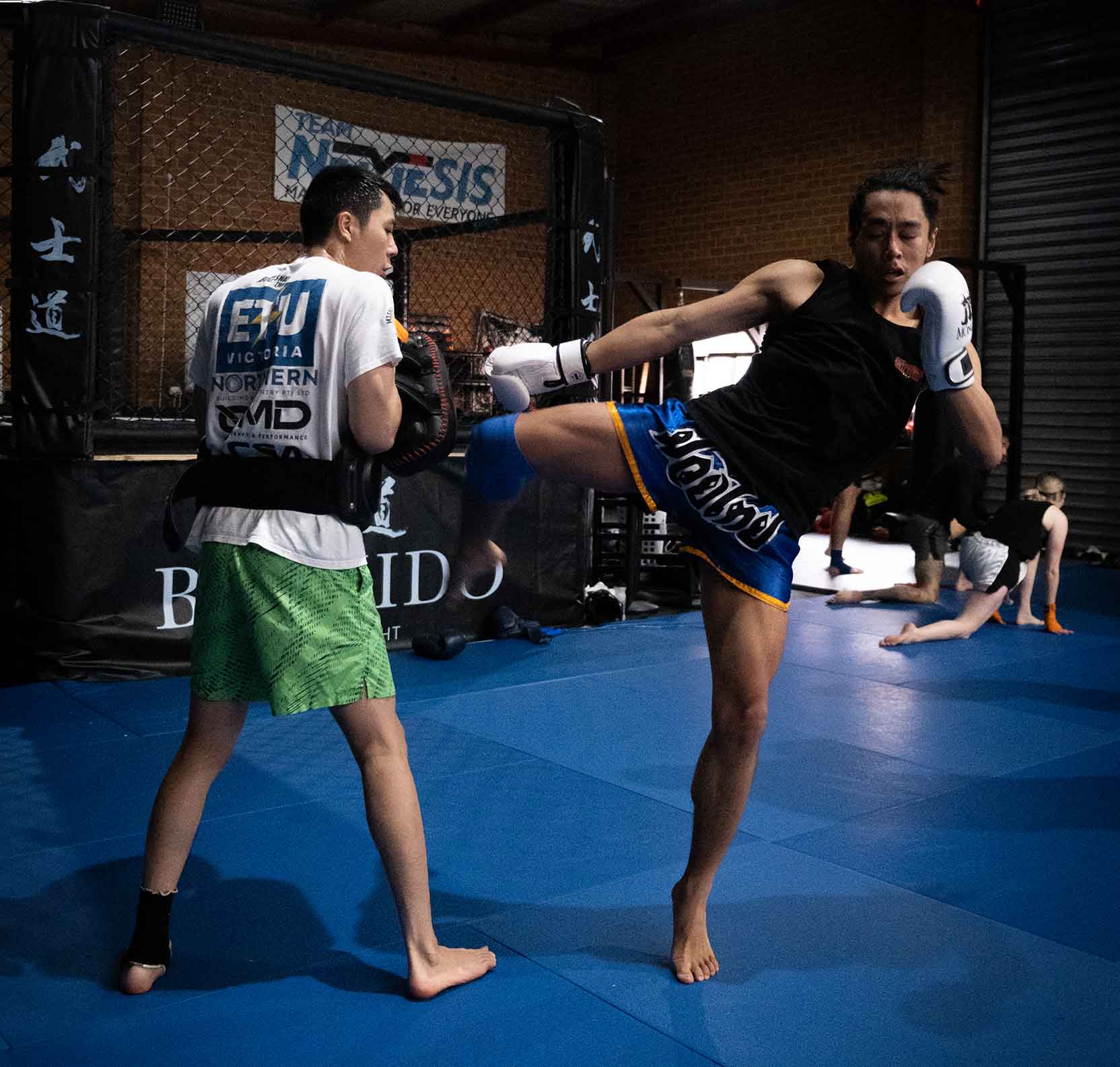 MUAY THAI SHORTS  Muay thai training, Martial arts sparring, Muay thai